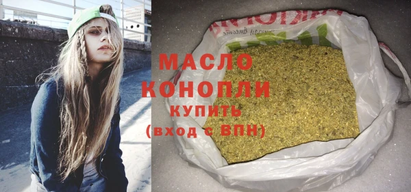 ешки Бородино