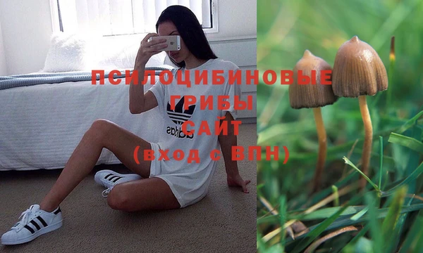 скорость Тихорецк