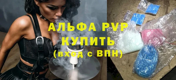 ешки Бородино