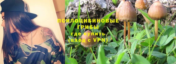 не бодяженный Тобольск