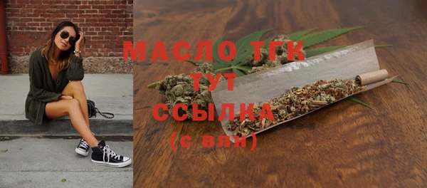 ешки Бородино
