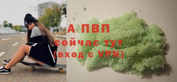 ешки Бородино