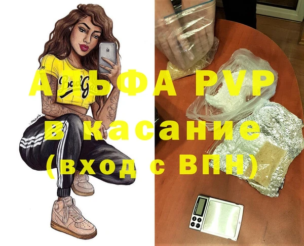 ешки Бородино