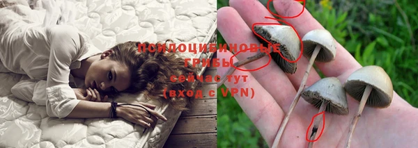 скорость Бронницы